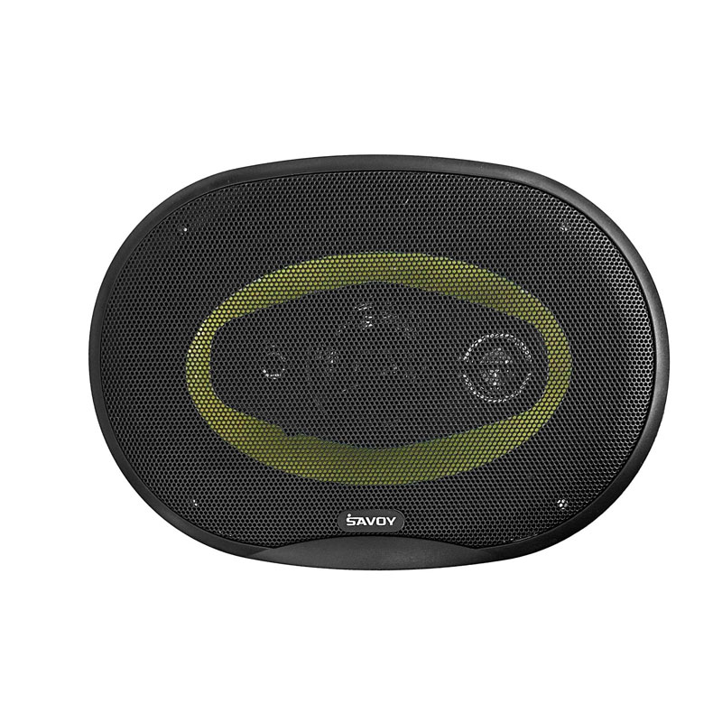بلندگوی ساووی مدل SV-6980 — تصویر ۵