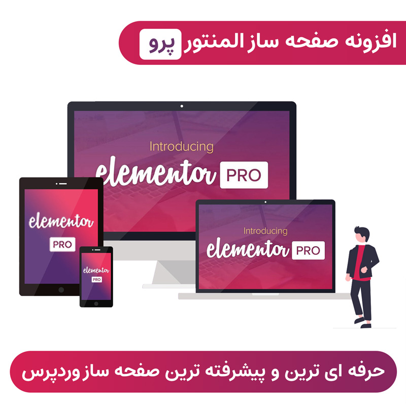 افزونه المنتور پرو صفحه ساز فارسی + درون ریزی آنلاین تمپلت آماده | Elementor Pro — تصویر ۵