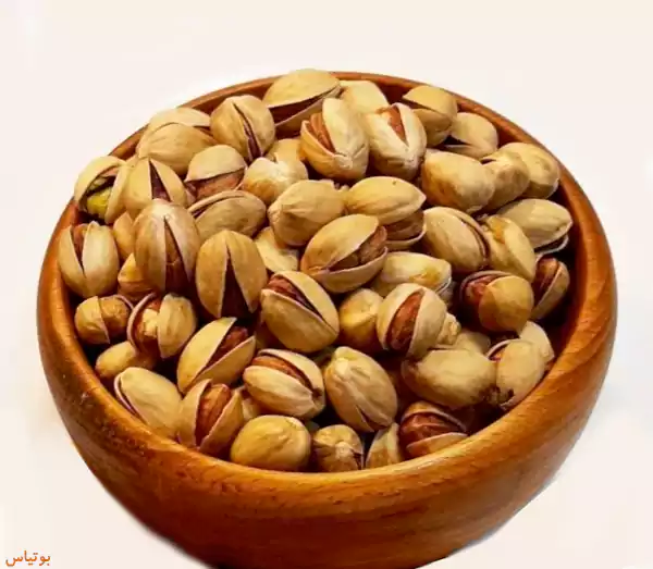 پسته فندقی شور