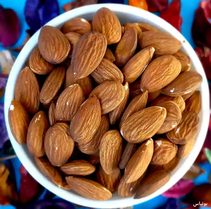 مغز بادام درختی 500 گرم — تصویر ۲
