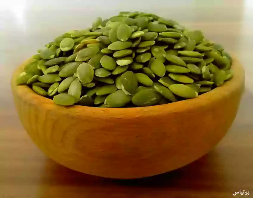 مغز کدو 250 گرم — تصویر ۲
