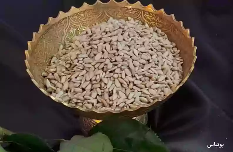 مغز تخمه آفتابگردان 500 گرم — تصویر ۲