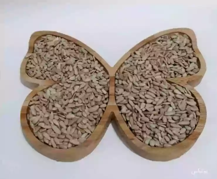 مغز تخمه آفتابگردان 500 گرم — تصویر ۳