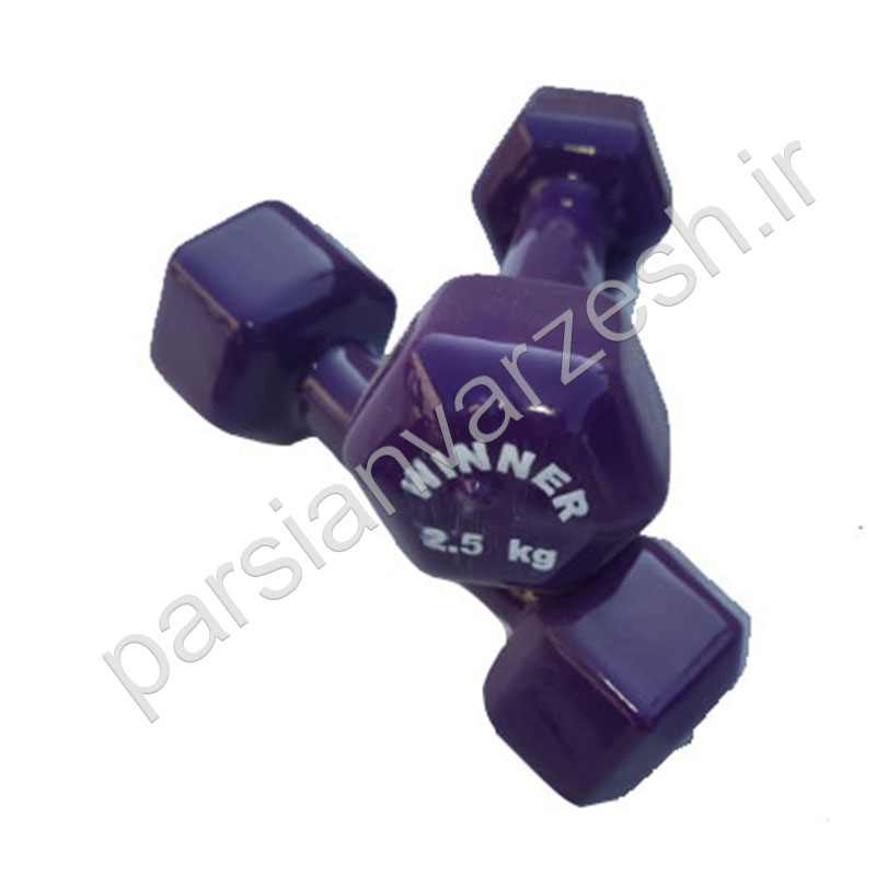 دمبل ایروبیک 2.5 کیلوگرم