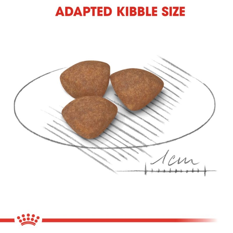 غذای خشک توله سگ رویال کنین مدل Royal Canin Mini Puppy وزن 1 کیلوگرم (فله بلوشاپ) — تصویر ۴