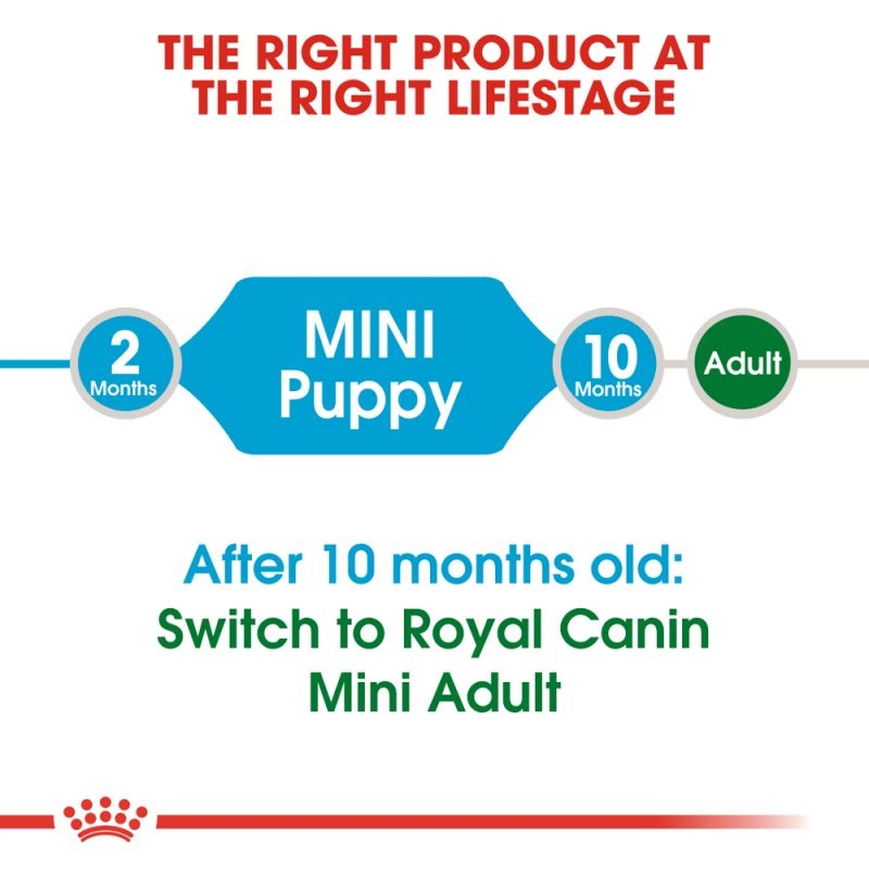 غذای خشک توله سگ رویال کنین مدل Royal Canin Mini Puppy وزن 1 کیلوگرم (فله بلوشاپ) — تصویر ۶