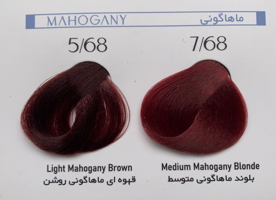 رنگ مو سری ماهاگونی لیزانو — تصویر ۴