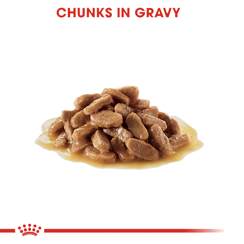پوچ توله سگ نژاد بزرگ رویال کنین Royal Canin Maxi Puppy وزن 140 گرم — تصویر ۳