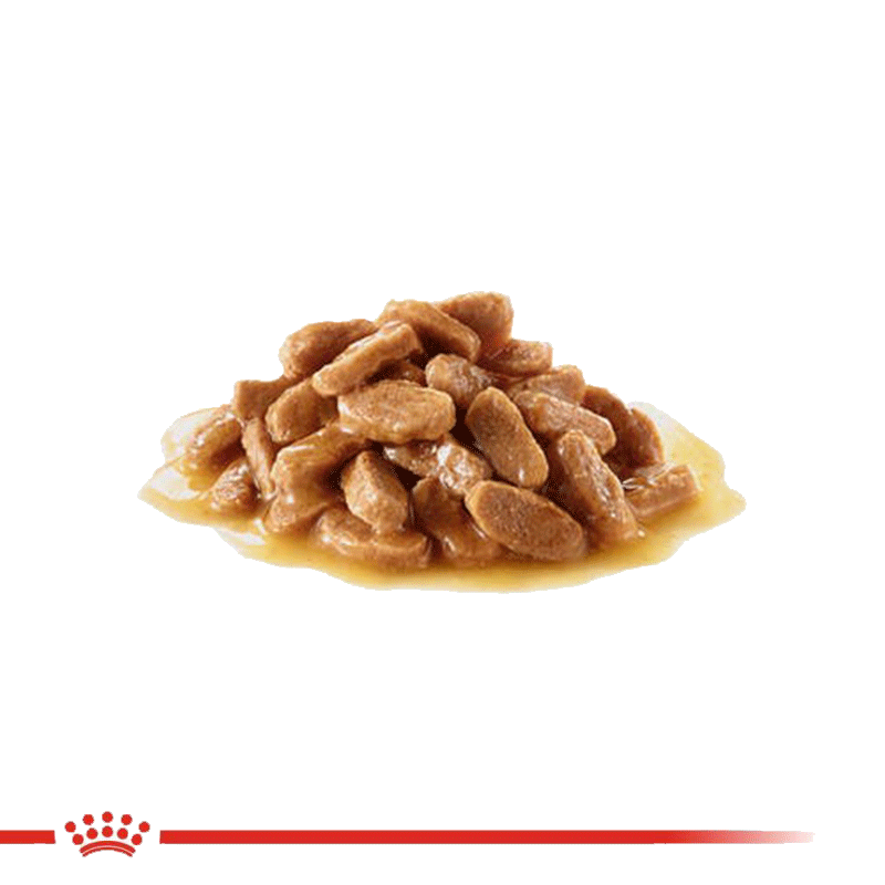 پوچ توله سگ نژاد متوسط رویال کنین Royal Canin Medium Puppy وزن 140 گرم — تصویر ۳