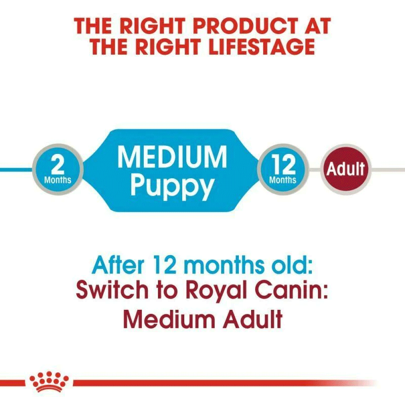 پوچ توله سگ نژاد متوسط رویال کنین Royal Canin Medium Puppy وزن 140 گرم — تصویر ۵