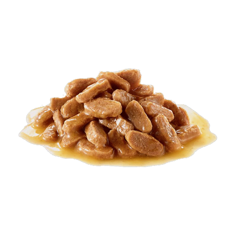 پوچ توله سگ نژاد کوچک رویال کنین Royal Canin Mini Puppy وزن ۸۵ گرم — تصویر ۳