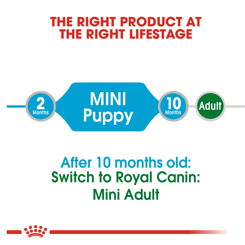 پوچ توله سگ نژاد کوچک رویال کنین Royal Canin Mini Puppy وزن ۸۵ گرم — تصویر ۴