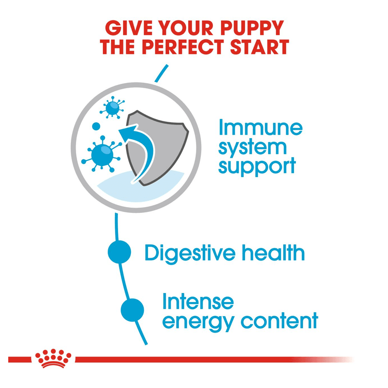 پوچ توله سگ نژاد کوچک رویال کنین Royal Canin Mini Puppy وزن ۸۵ گرم — تصویر ۵