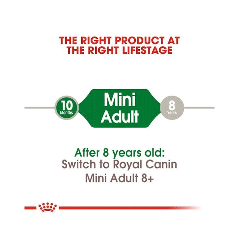 پوچ سگ نژاد کوچک رویال کنین Royal Canin Mini Adult وزن ۸۵ گرم — تصویر ۴