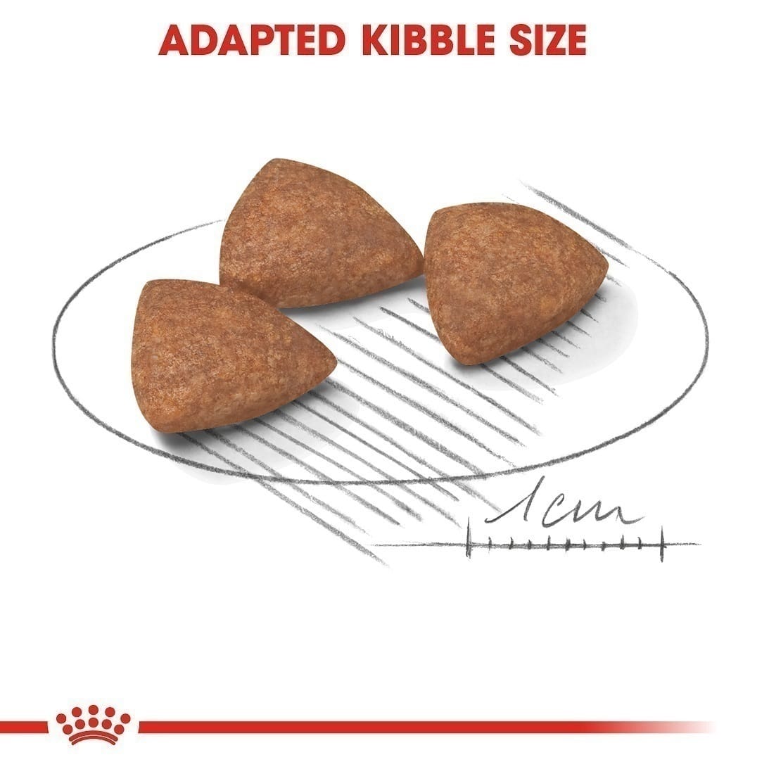 غذای خشک توله سگ نژاد کوچک رویال کنین Royal Canin Mini Indoor Puppy وزن 1.5 کیلوگرم — تصویر ۳