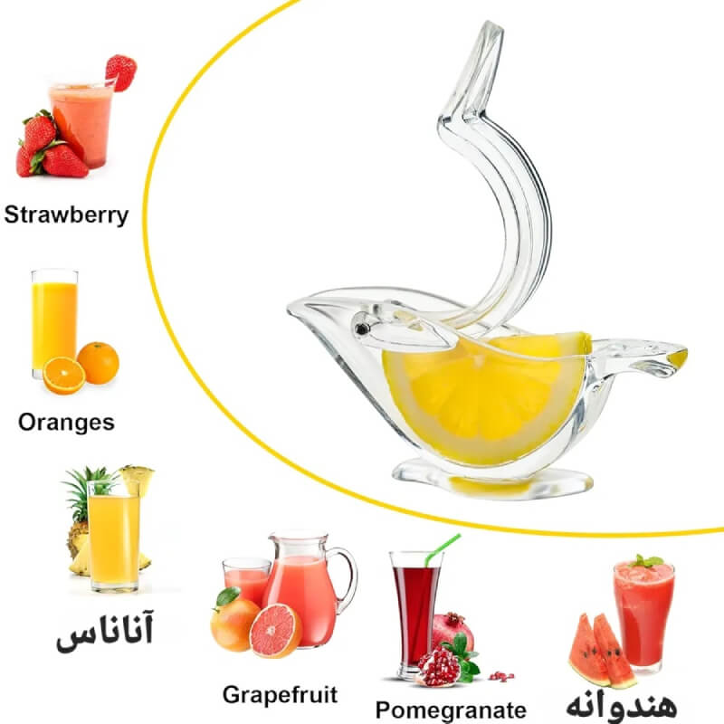 آبلیمو گیر شفاف پرنده — تصویر ۳