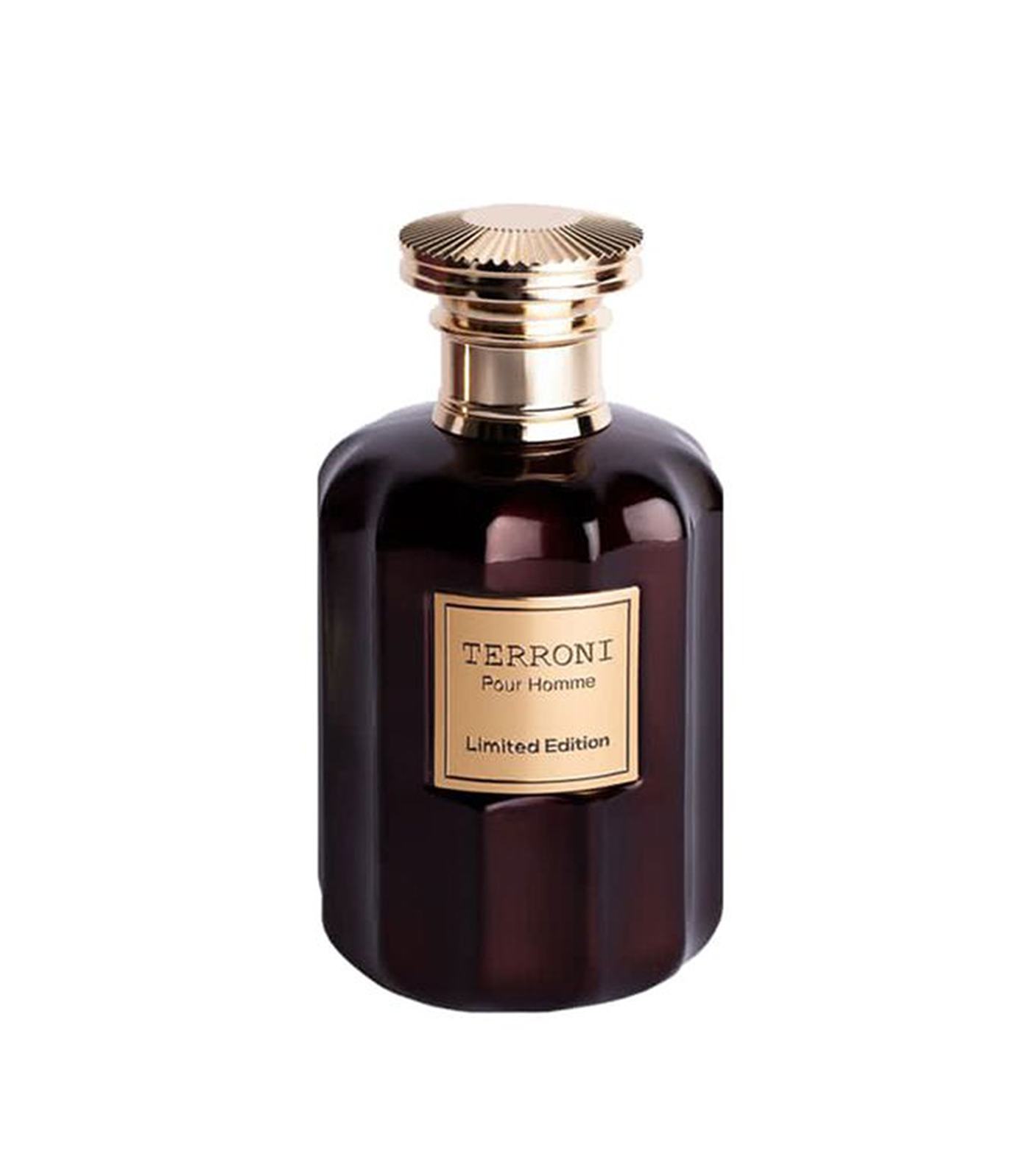 عطر مردانه روبرتو ویزاری ترونی ادوپرفیوم – Roberto Vizzari Terroni Eau De Parfum — تصویر ۴