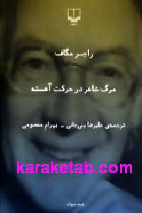 مرگ شاعر در حرکت آهسته — تصویر ۲