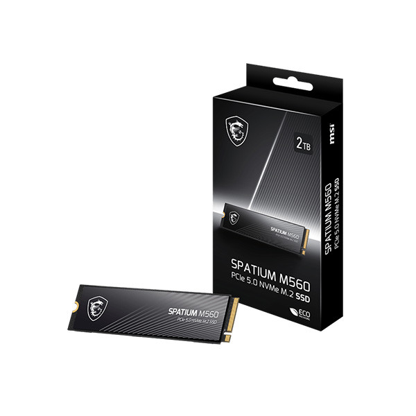 اس اس دی اینترنال PCIe 5.0 ام اس آی مدل MSI SPATIUM M560 ظرفیت دو ترابایت — تصویر ۳