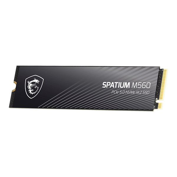 اس اس دی اینترنال PCIe 5.0 ام اس آی مدل MSI SPATIUM M560 ظرفیت دو ترابایت — تصویر ۴