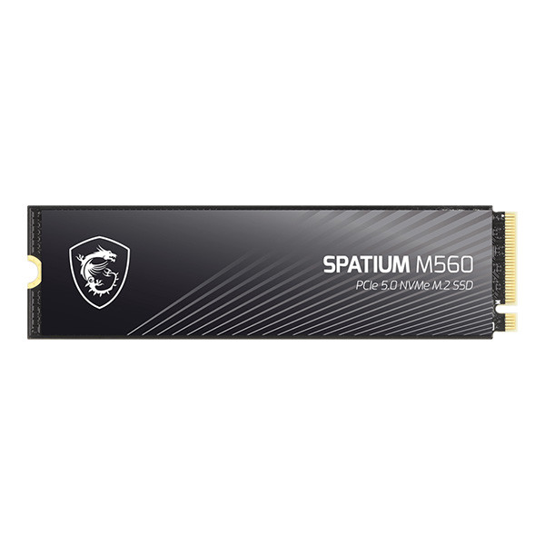 اس اس دی اینترنال PCIe 5.0 ام اس آی مدل MSI SPATIUM M560 ظرفیت دو ترابایت — تصویر ۵