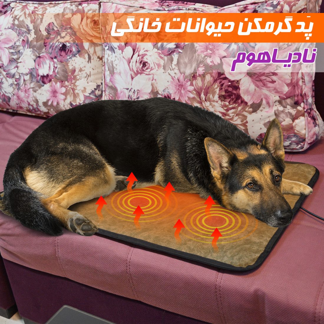 پد گرمکن حیوانات خانگی — تصویر ۳