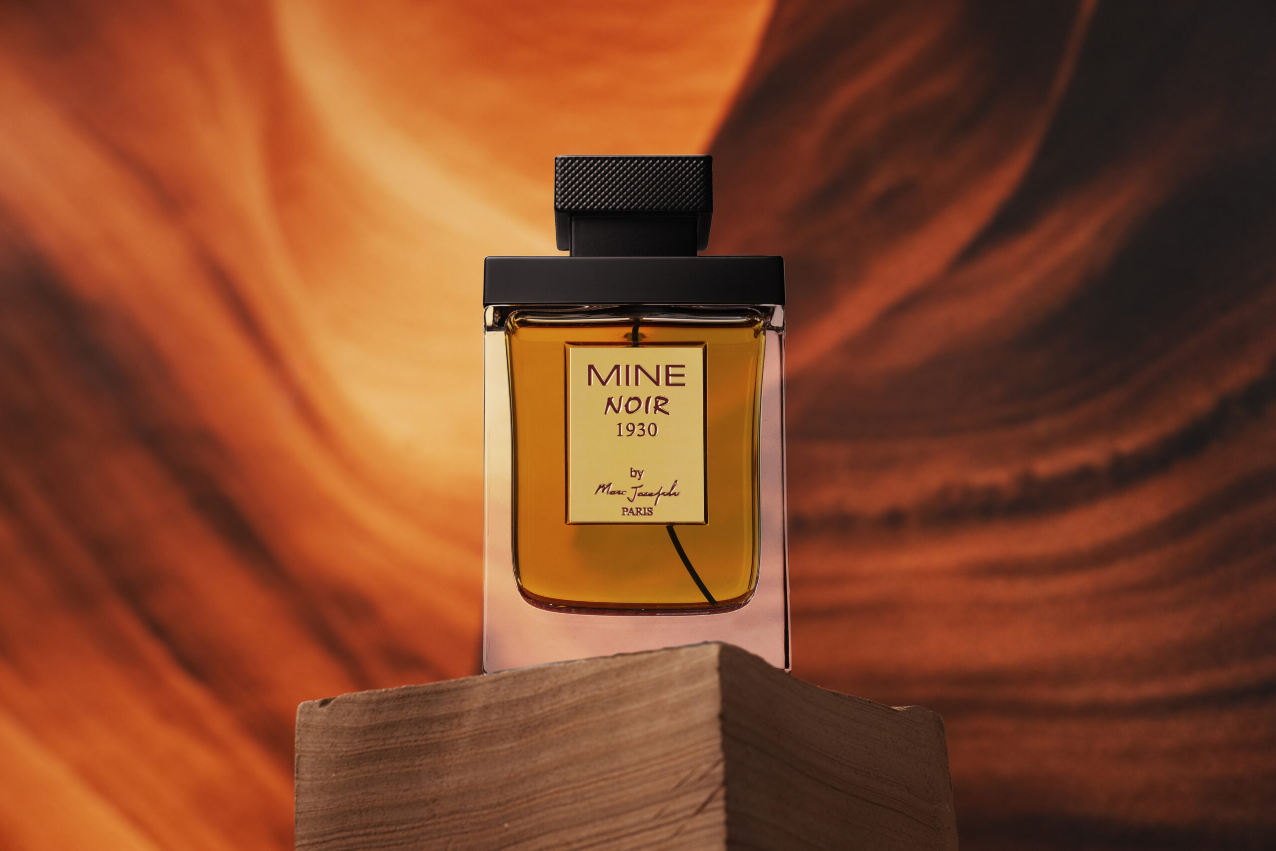 ادکلن ماین نویر 1930 – ادکلن Mine Noir 1930 — تصویر ۵