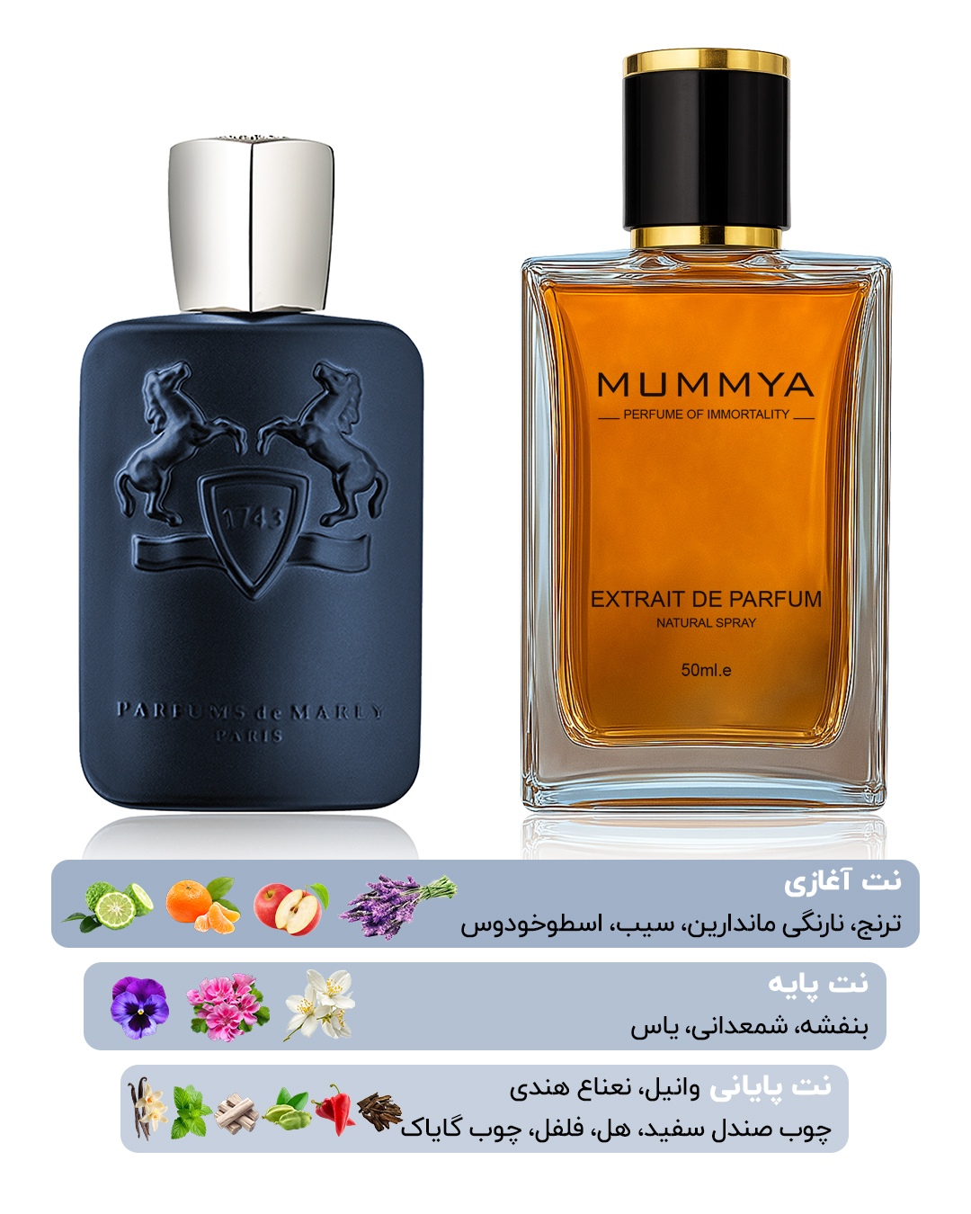 ادکلن مارلی لیتون -عطر Marly Layton Parfums de — تصویر ۳