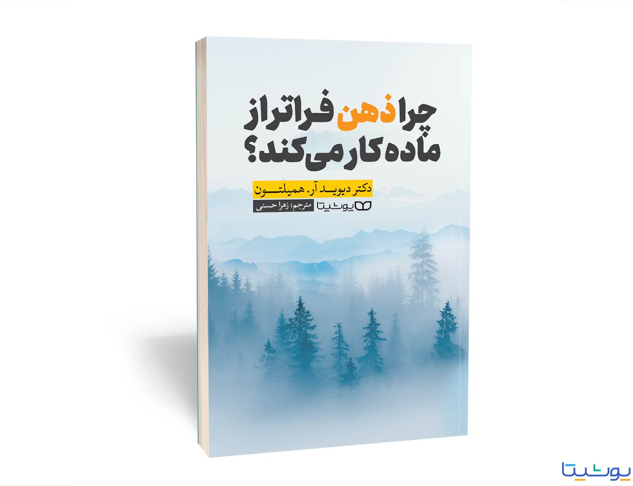 کتاب چرا ذهن فراتر از ماده کار می کند؟ — تصویر ۲