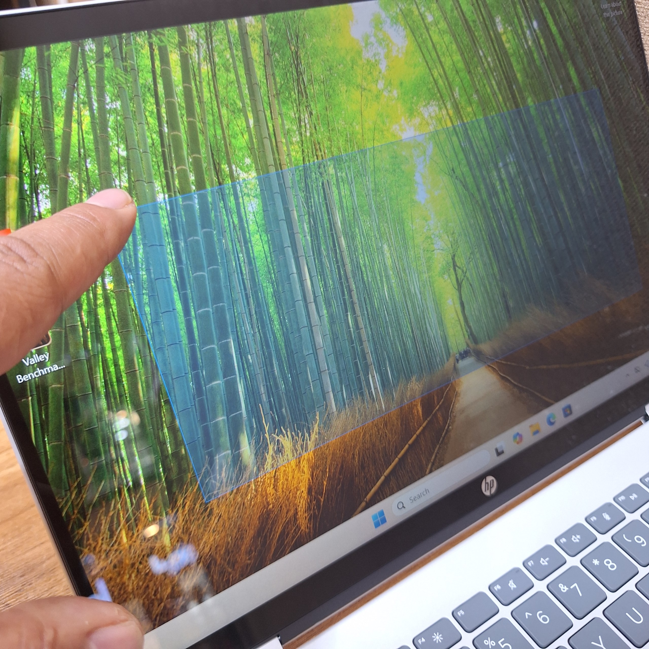 لپ تاپ HP Omnibook 5 Flip Core5 120U | 16GB | SSD 512GB | Intel | 14 inch FHD X360 Touch — تصویر ۵