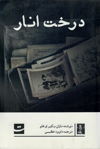 درخت انار — تصویر ۲