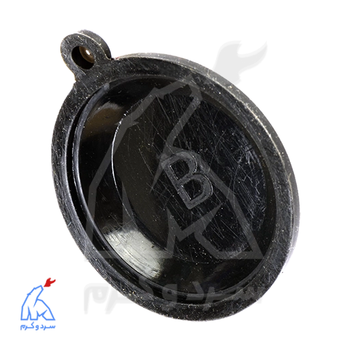 دیافراگم کوچک شاپه،‌ باکسی — تصویر ۳