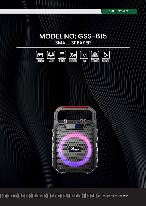 اسپیکر پرتابل گرین GSS-615 — تصویر ۴