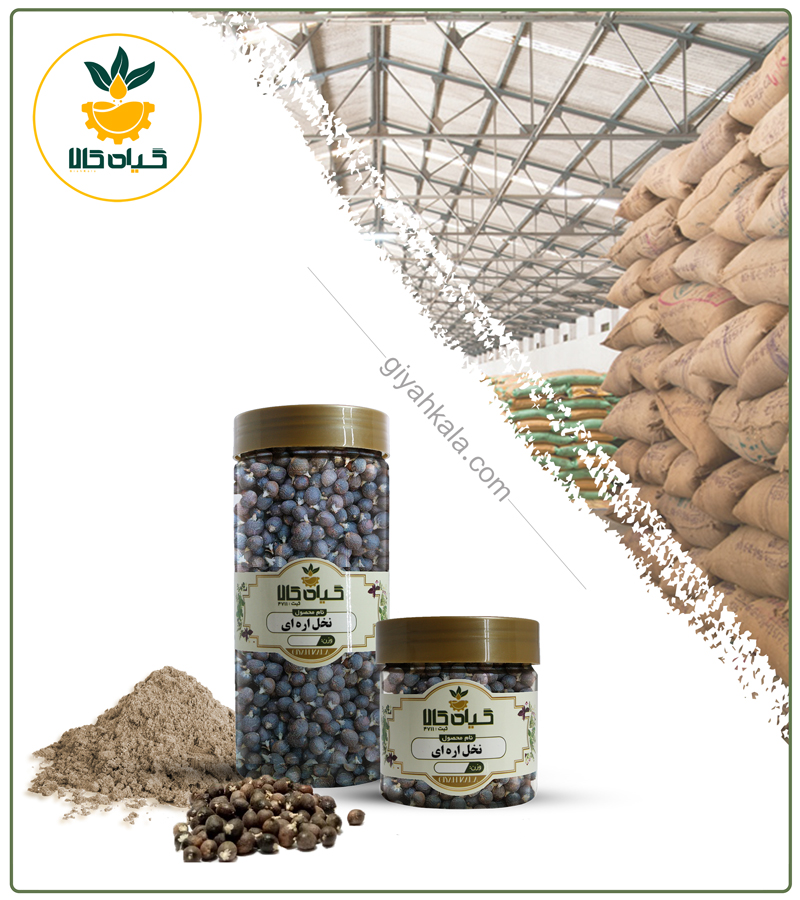 میوه نخل اره ای خشک یا پودری بسته بندی — تصویر ۲
