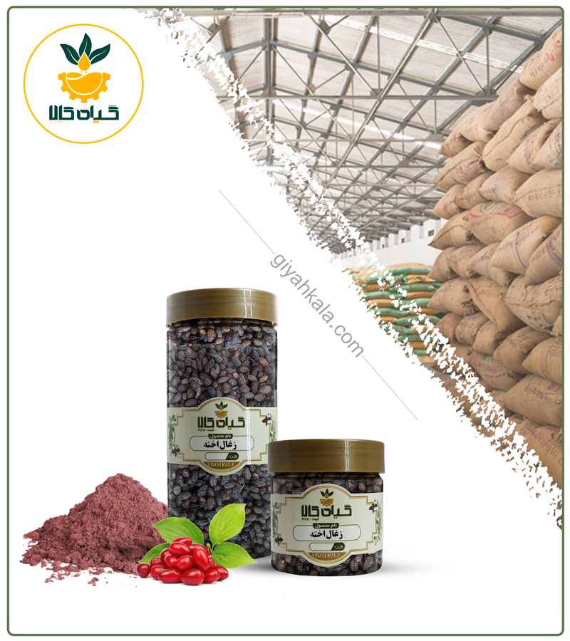 میوه زغال اخته خشک یا پودری بسته بندی — تصویر ۲