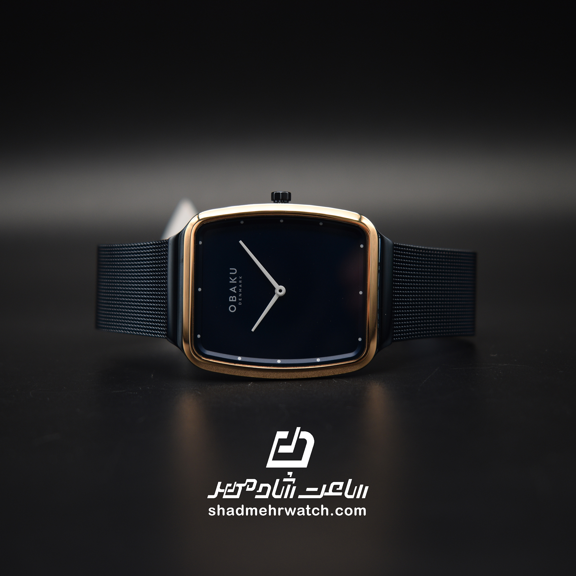ساعت مچی مردانه اباکو مدل V267GXSLML — تصویر ۳