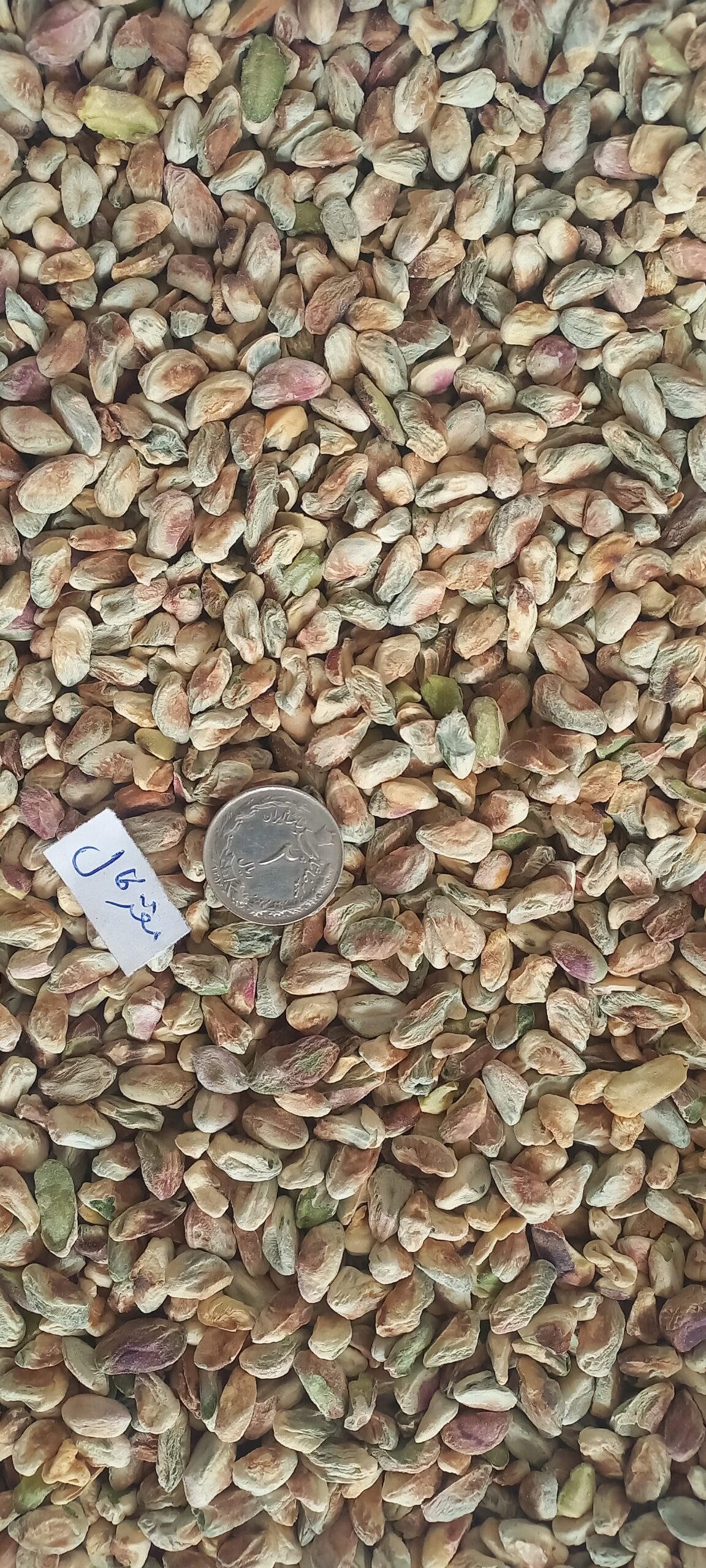 مغزپسته کال سوپر_1کیلویی — تصویر ۴