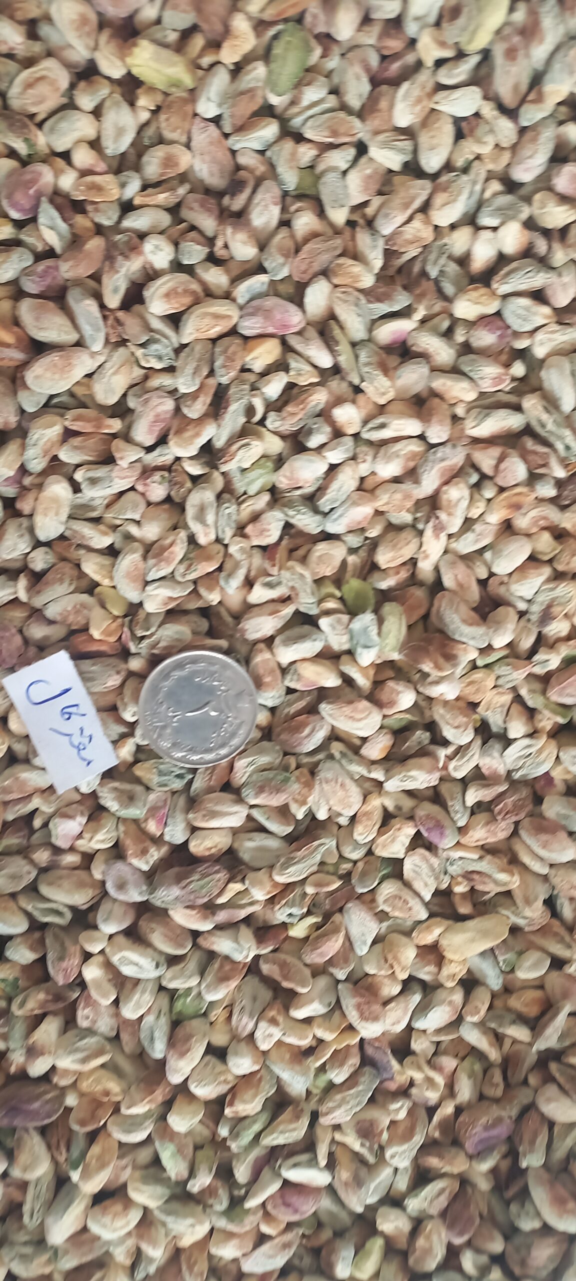 مغزپسته کال سوپر_1کیلویی — تصویر ۵
