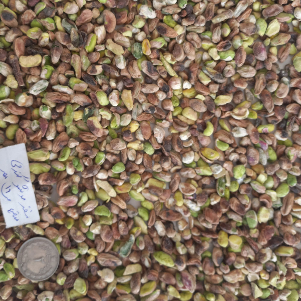 مغز پسته ریز وگندمی — تصویر ۷