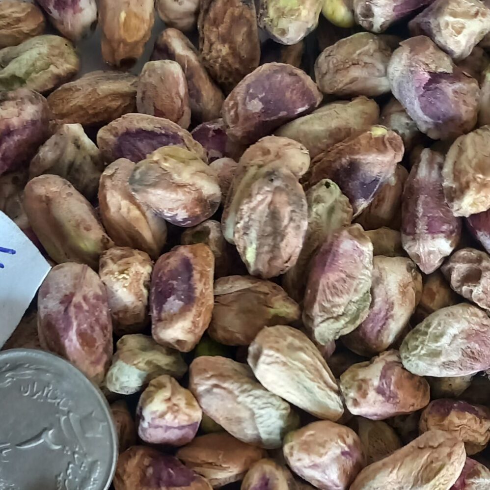 مغز پسته درشت — تصویر ۳