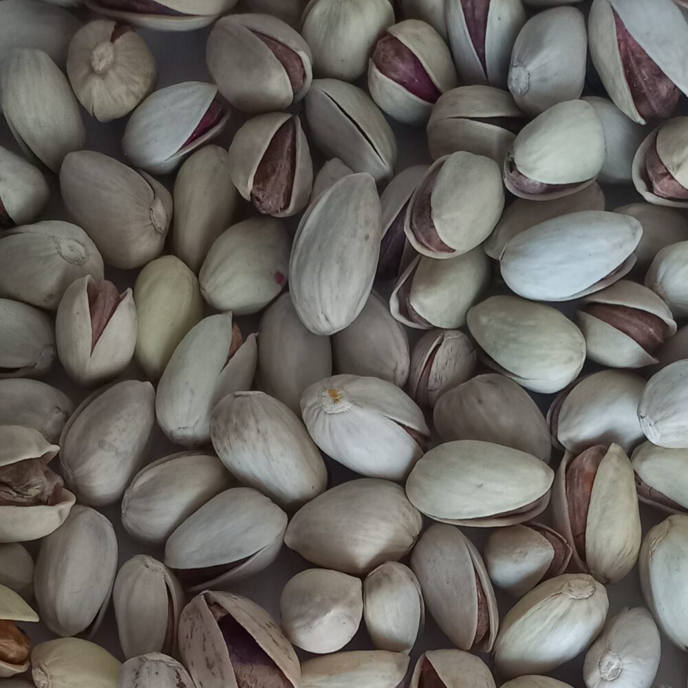 پسته احمدآقایی خام