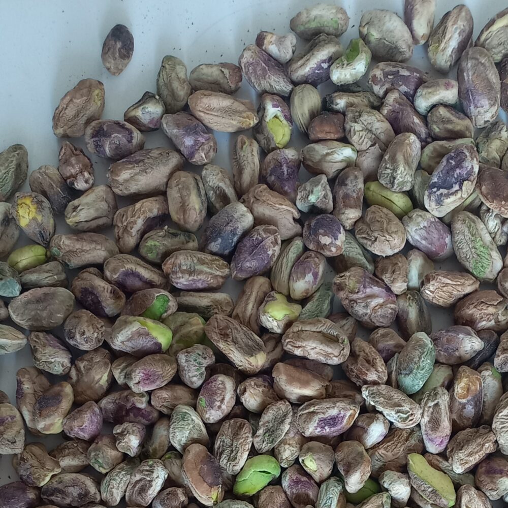 مغزپسته معمولی — تصویر ۳
