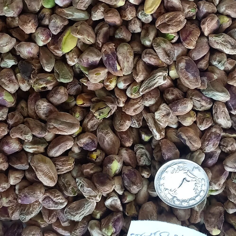 مغزپسته معمولی