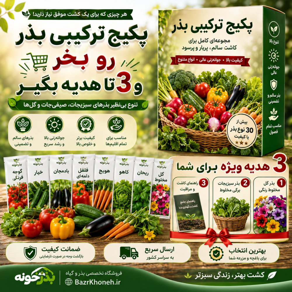 پک سبزیجات و صیفی جات - پک اقتصادی — تصویر ۲