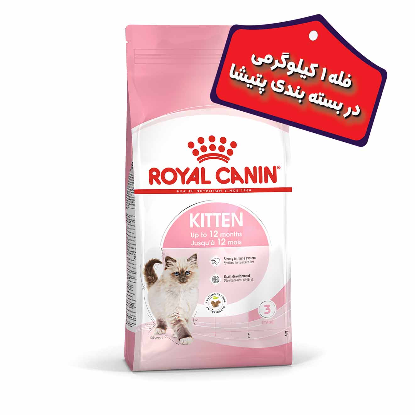 غذای خشک بچه گربه رویال کنین مدل کیتن Kitten (“بصورت فله”) وزن 1 کیلوگرم — تصویر ۲