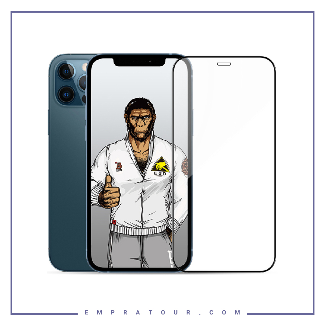 محافظ صفحه نمایش شیشه ای بولوئو آیفون BLUEO Antistatic Dustproof Temepered Glass Iphone 12 Pro Max — تصویر ۳
