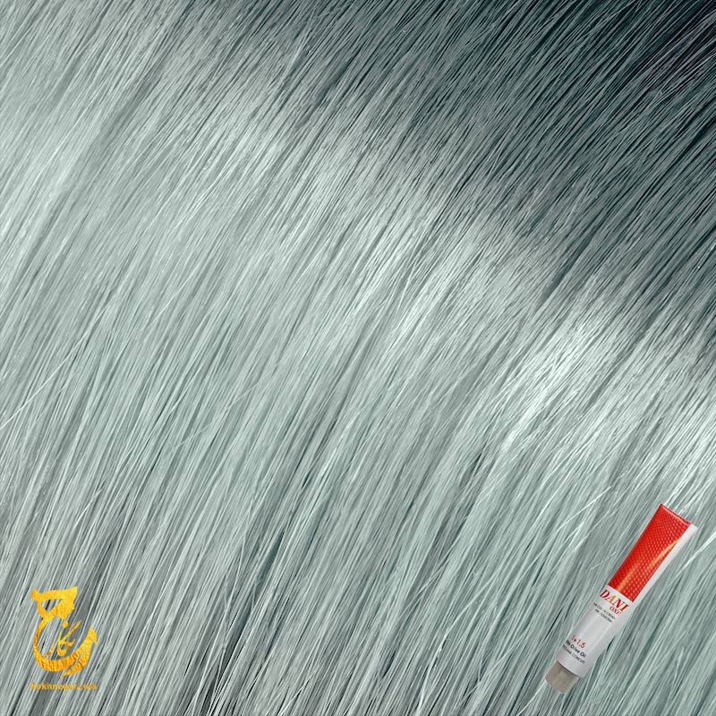 رنگ مو دنی وان بلوند دودی خیل خیلی روشن 12.1 — تصویر ۳