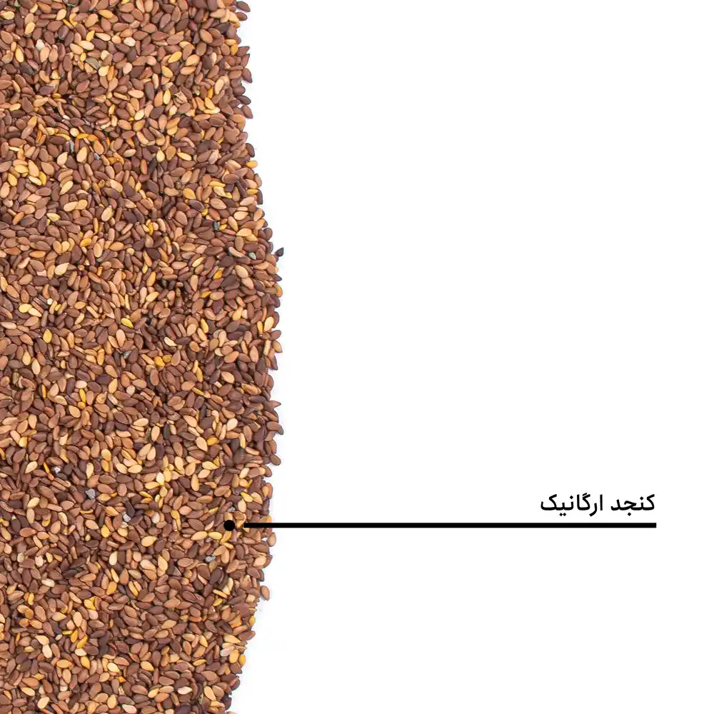 کنجد ارگانیک — تصویر ۵
