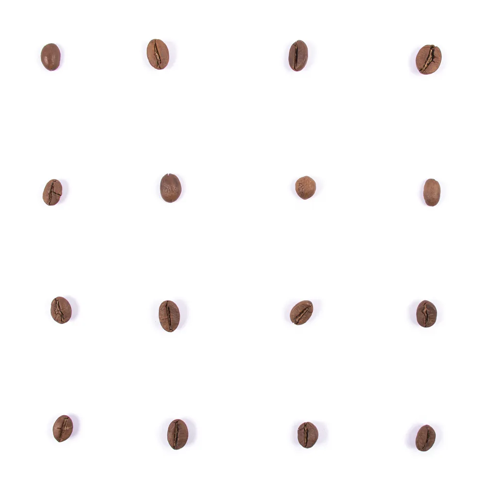 قهوه ترکیبی غروب ۵۰٪ روبوستا + ۵۰٪ عربیکا — تصویر ۵