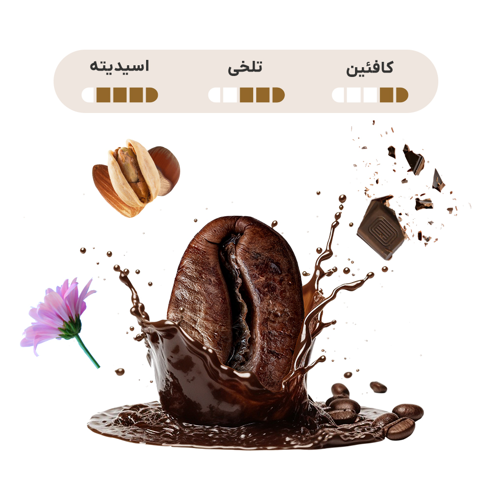 قهوه مکزیک عربیکا — تصویر ۳